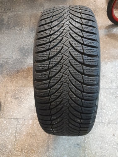 Gomme invernali nexen - invernali,
