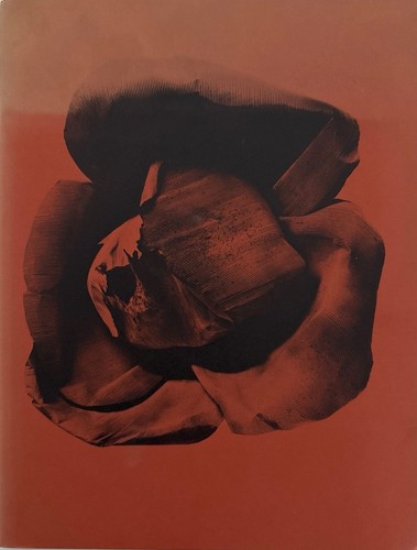 Pistoletto - pistoletto.,