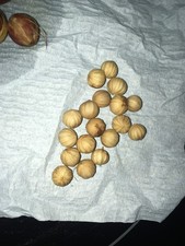 Palma a ventaglio arruffata