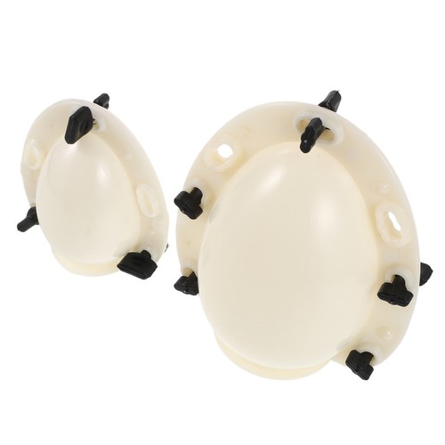 Pcs stampo per gelatina - 2,