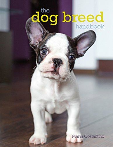 The dog breed handbook - dog,