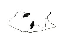 ALTOPARLANTI Speakers Casse