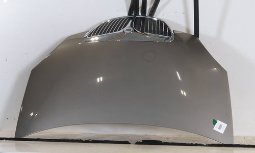 Cofano anteriore 51732277 - cofano,