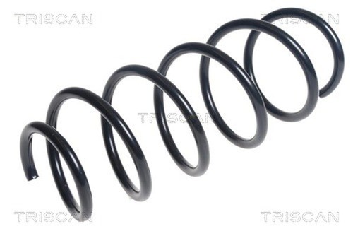 Molla sospensione triscan - 1,