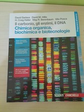 Il Carbonio, Gli Enzimi, Il