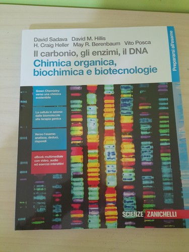 Carbonio gli enzimi il - il,