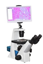 Live Cella Microscopio Inverso