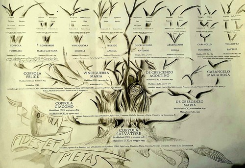 Realizzo albero genealogico - realizzo,
