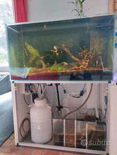 Acquario 110x50x60 cm con Mobile, Sump e accessori
