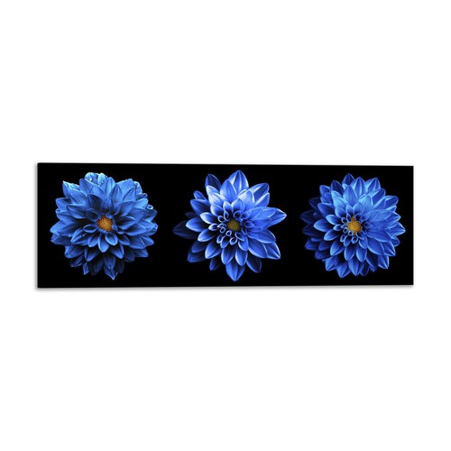 Quadro stampa tela con - tela,