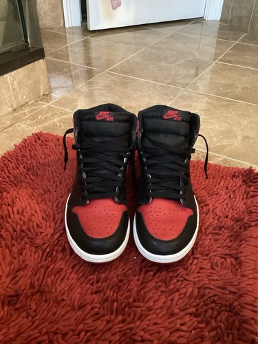 2016 bred 11 5 - 2016, 1s
