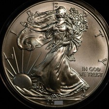 USA Dollaro $1 2009 Oncia 31g