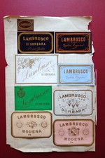 Lambrusco di Sorbara di Modena 9 Etichette per Bottiglie Primo '900 Grafica Vino