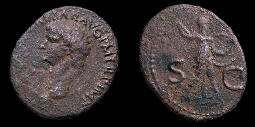Claudio minerva 30 - claudio, sc