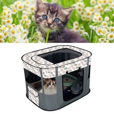 (Grigio)Gattino Sala Consegna