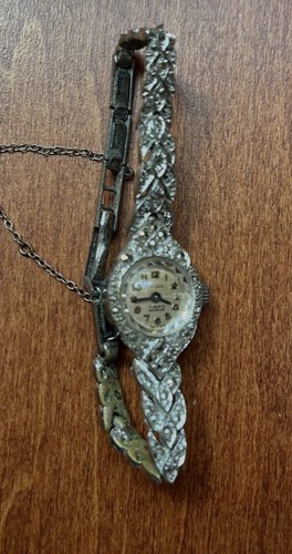Orologio polso donna - orologio, da