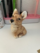 Pembroke Welsh Corgi Susie