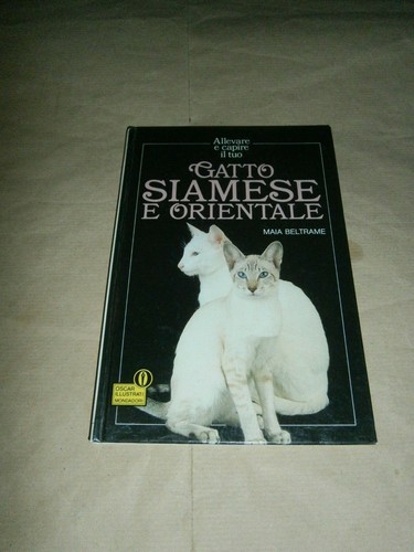 Maia beltrame gatto - gatto, e