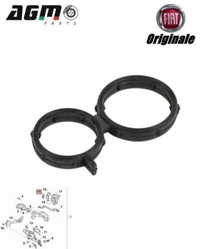 Guarnizione valvola egr - valvola,