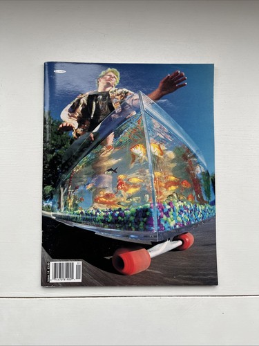 Big brother skateboard - big,