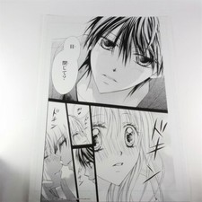 Sho comi namida - sho-comi, bunny