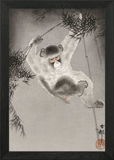 Quadro stampa su tela poster