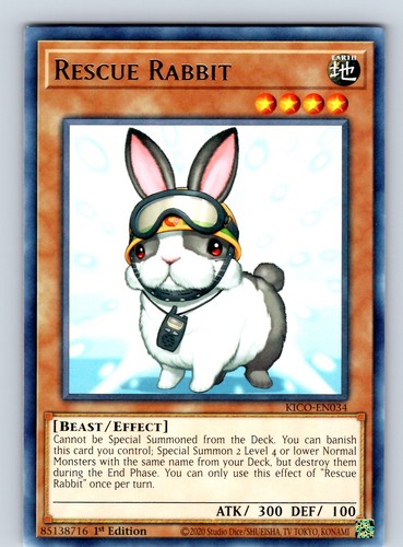 Rescue rabbit rara - rabbit,