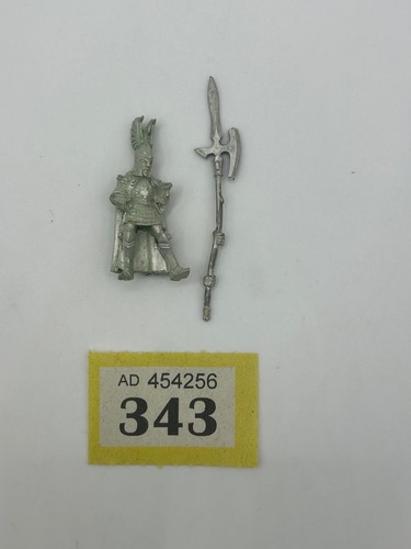 Alti elfi guardia - elfi,