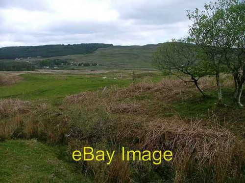 Photo 6x4 fields - photo,