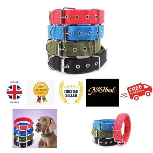 Collare per cani nylon - collare,