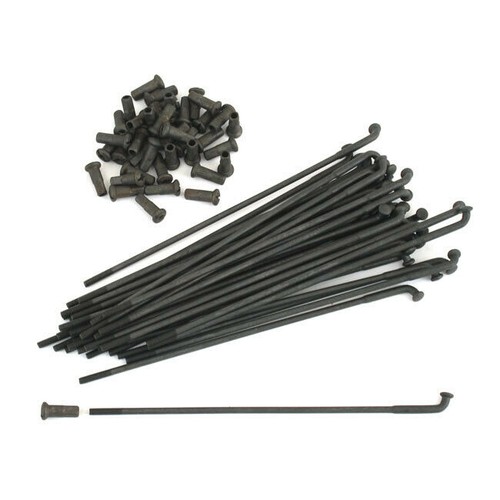 Samwel raggi nero 40 - samwel,