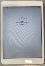 Apple iPad Mini 1a Generazione
