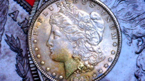 1899 morgan toming argento - 1899,