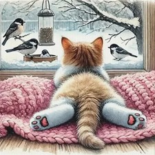 LE ZAMPE DEI GATTI (1) MOTIVO