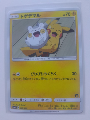 Japanese pokemon ash team - japanese,