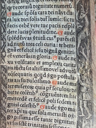 Pagine sul pergamena libro - pagine,