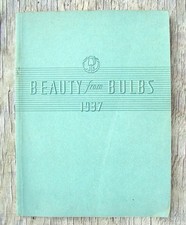 Beauty From Bulbs 1937
