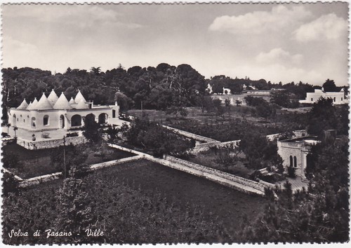 Selva fasano brindisi - di,