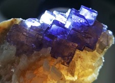 Esemplare minerale di fluorite