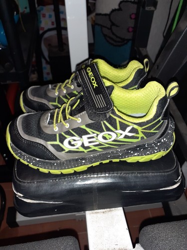 Scarpe geox bambino 31 - scarpe, n'