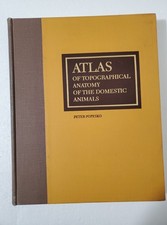 Atlas topographical anatomy - atlas, of