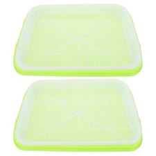  2 Set Piantine Erba Gatto