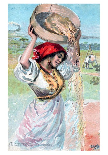 Cartolina post card - card, basilio