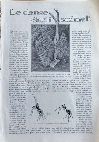Alessandro canestrini le - alessandro,