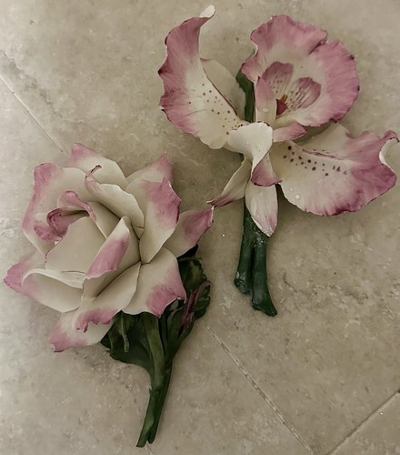 Rami orchidea rosa in - rosa,
