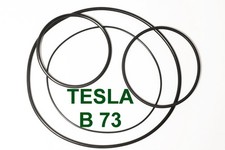 SET CINGHIE TESLA B 73