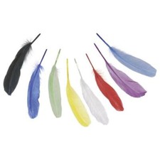 Piume d'oca Knorr Prandell 15-20 cm