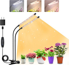 Teste luce per piante - 2,