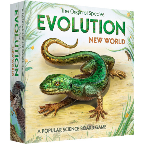 Evolution gioco tavolo - gioco, da