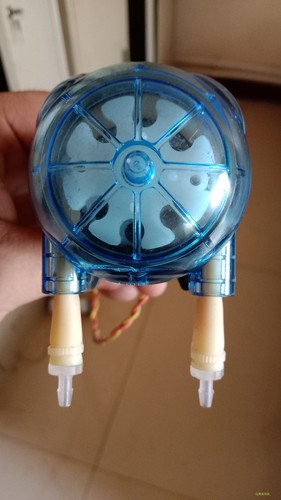 1pz new fit for - fit, wpx1